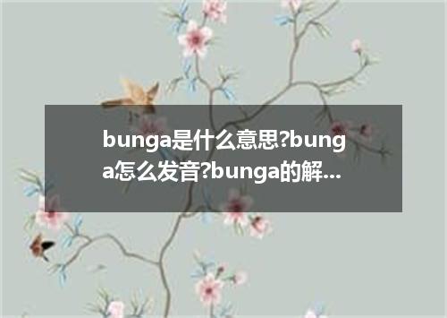 bunga是什么意思?bunga怎么发音?bunga的解释和用法