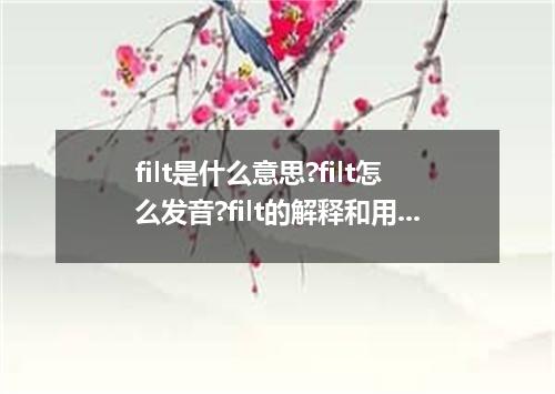 filt是什么意思?filt怎么发音?filt的解释和用法