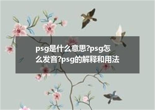 psg是什么意思?psg怎么发音?psg的解释和用法