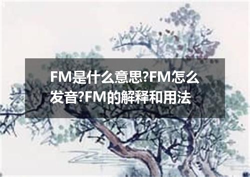 FM是什么意思?FM怎么发音?FM的解释和用法