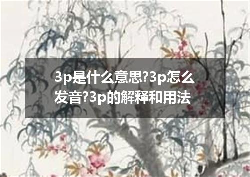 3p是什么意思?3p怎么发音?3p的解释和用法
