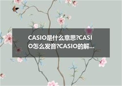 CASIO是什么意思?CASIO怎么发音?CASIO的解释和用法