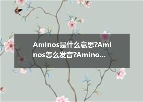 Aminos是什么意思?Aminos怎么发音?Aminos的解释和用法