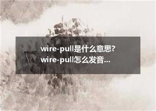 wire-pull是什么意思?wire-pull怎么发音?wire-pull的解释和用法