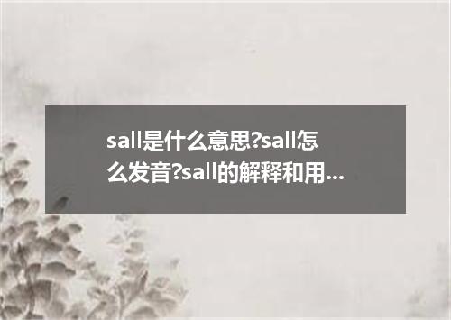 sall是什么意思?sall怎么发音?sall的解释和用法