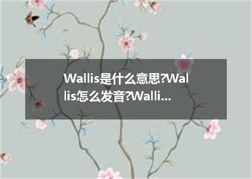 Wallis是什么意思?Wallis怎么发音?Wallis的解释和用法