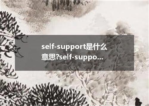 self-support是什么意思?self-support怎么发音?self-support的解释和用法