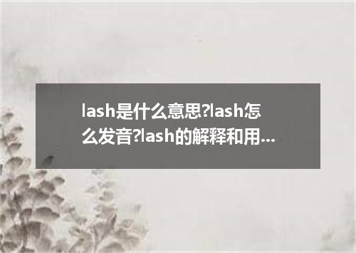 lash是什么意思?lash怎么发音?lash的解释和用法