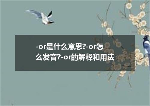 -or是什么意思?-or怎么发音?-or的解释和用法