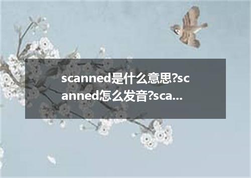 scanned是什么意思?scanned怎么发音?scanned的解释和用法