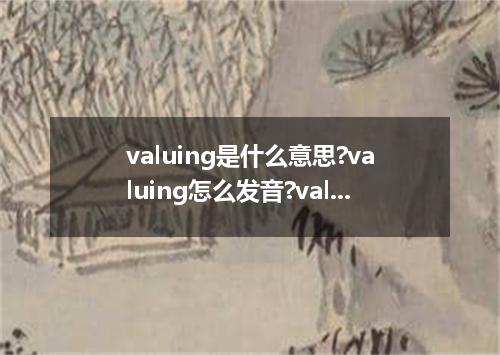 valuing是什么意思?valuing怎么发音?valuing的解释和用法