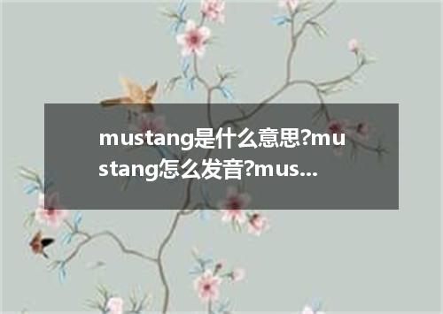 mustang是什么意思?mustang怎么发音?mustang的解释和用法