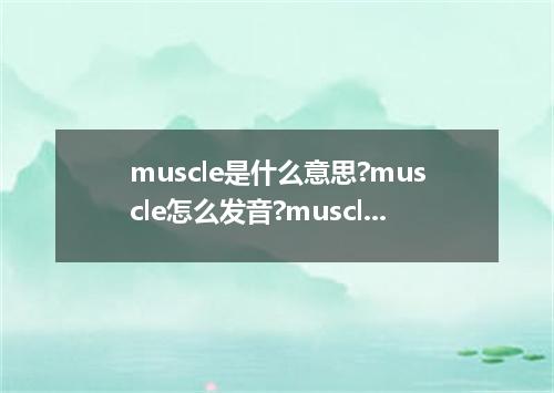 muscle是什么意思?muscle怎么发音?muscle的解释和用法