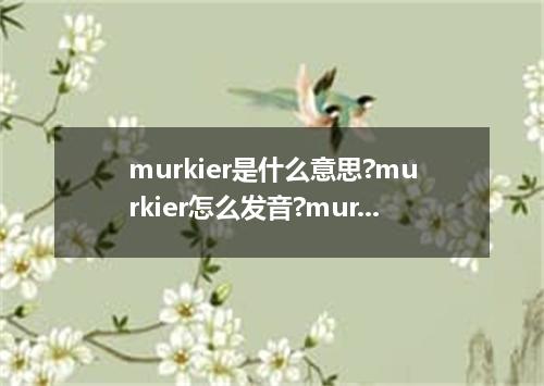 murkier是什么意思?murkier怎么发音?murkier的解释和用法