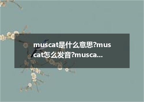 muscat是什么意思?muscat怎么发音?muscat的解释和用法