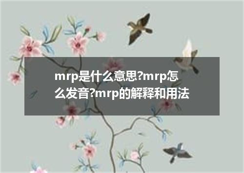 mrp是什么意思?mrp怎么发音?mrp的解释和用法
