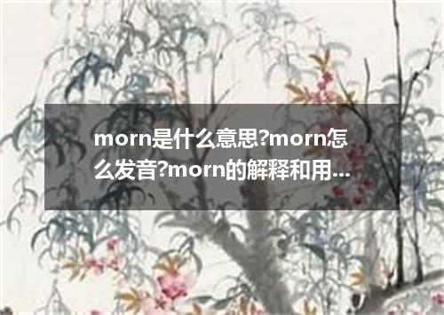 morn是什么意思?morn怎么发音?morn的解释和用法