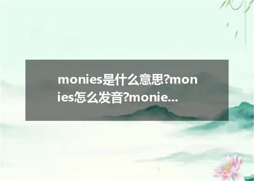 monies是什么意思?monies怎么发音?monies的解释和用法