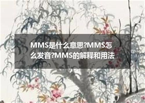 MMS是什么意思?MMS怎么发音?MMS的解释和用法