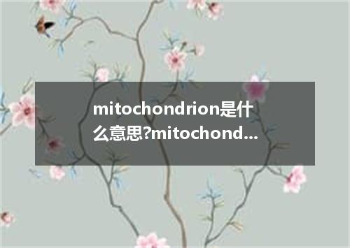 mitochondrion是什么意思?mitochondrion怎么发音?mitochondrion的解释和用法