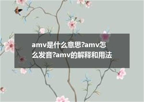 amv是什么意思?amv怎么发音?amv的解释和用法
