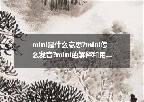 mini是什么意思?mini怎么发音?mini的解释和用法