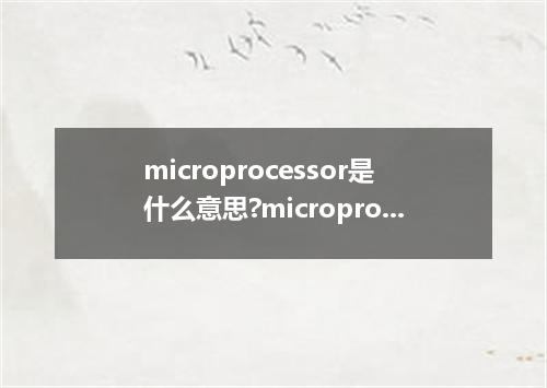 microprocessor是什么意思?microprocessor怎么发音?microprocessor的解释和用法