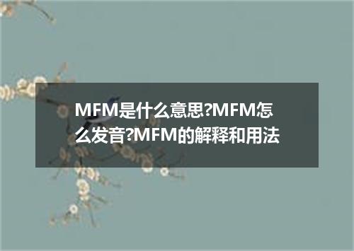 MFM是什么意思?MFM怎么发音?MFM的解释和用法