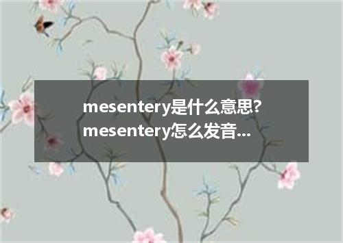 mesentery是什么意思?mesentery怎么发音?mesentery的解释和用法
