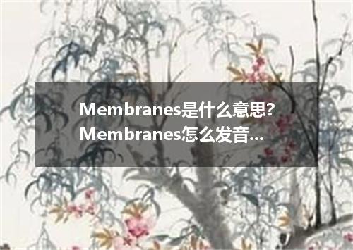 Membranes是什么意思?Membranes怎么发音?Membranes的解释和用法