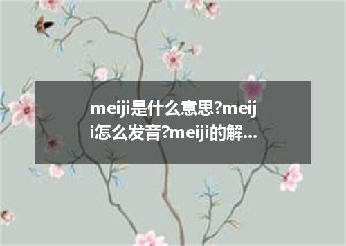meiji是什么意思?meiji怎么发音?meiji的解释和用法