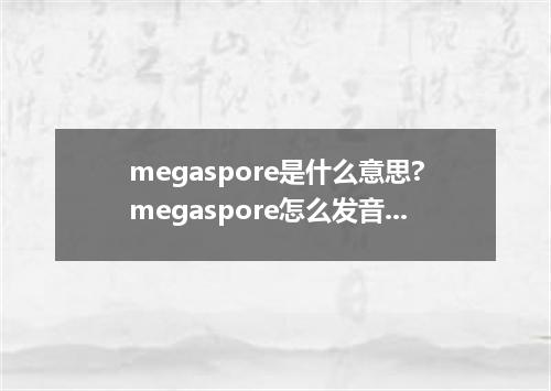 megaspore是什么意思?megaspore怎么发音?megaspore的解释和用法