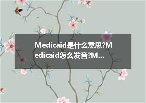Medicaid是什么意思?Medicaid怎么发音?Medicaid的解释和用法