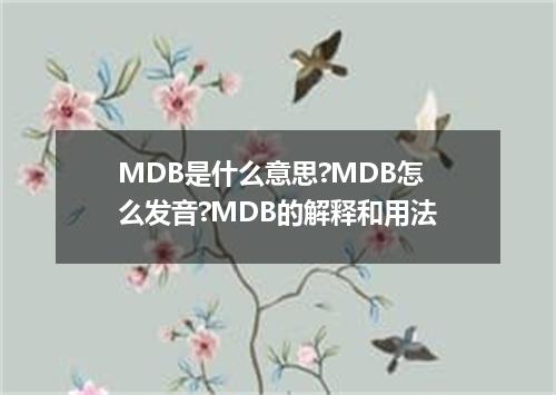 MDB是什么意思?MDB怎么发音?MDB的解释和用法