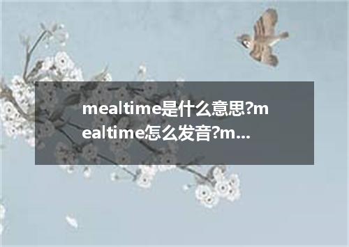 mealtime是什么意思?mealtime怎么发音?mealtime的解释和用法