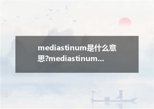 mediastinum是什么意思?mediastinum怎么发音?mediastinum的解释和用法