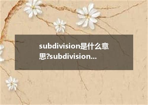 subdivision是什么意思?subdivision怎么发音?subdivision的解释和用法