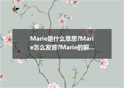 Marie是什么意思?Marie怎么发音?Marie的解释和用法