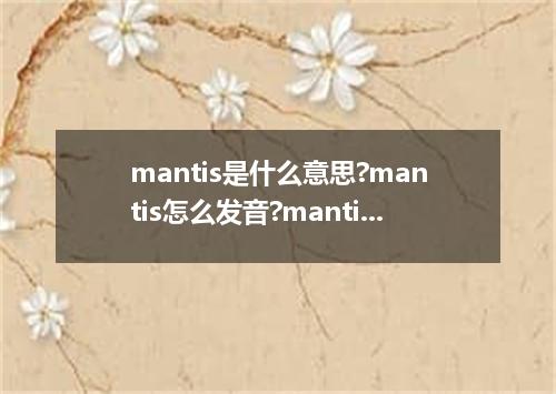 mantis是什么意思?mantis怎么发音?mantis的解释和用法