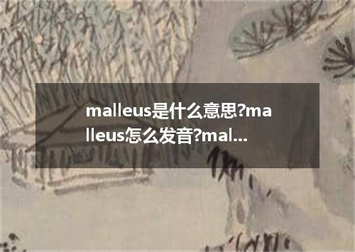 malleus是什么意思?malleus怎么发音?malleus的解释和用法