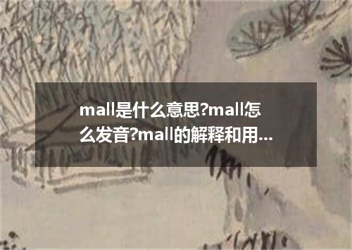 mall是什么意思?mall怎么发音?mall的解释和用法