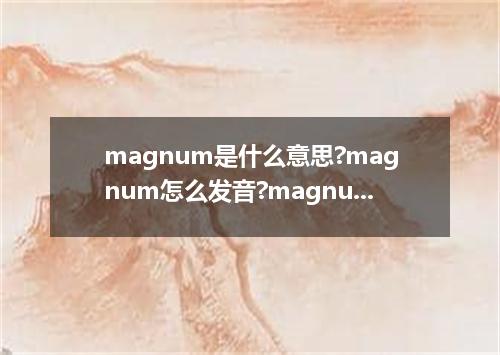 magnum是什么意思?magnum怎么发音?magnum的解释和用法