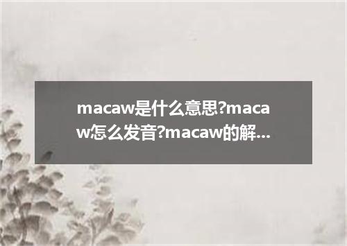 macaw是什么意思?macaw怎么发音?macaw的解释和用法