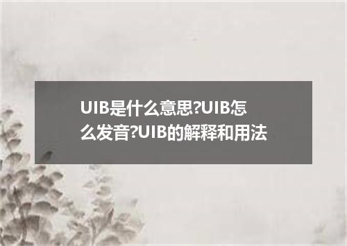 UIB是什么意思?UIB怎么发音?UIB的解释和用法