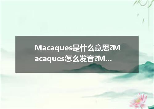 Macaques是什么意思?Macaques怎么发音?Macaques的解释和用法