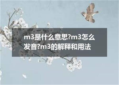 m3是什么意思?m3怎么发音?m3的解释和用法