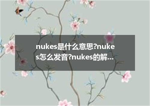 nukes是什么意思?nukes怎么发音?nukes的解释和用法
