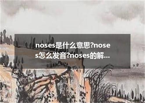 noses是什么意思?noses怎么发音?noses的解释和用法