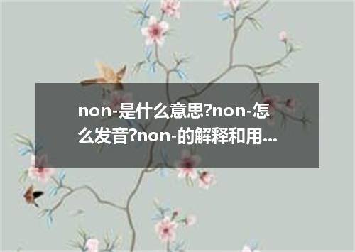 non-是什么意思?non-怎么发音?non-的解释和用法