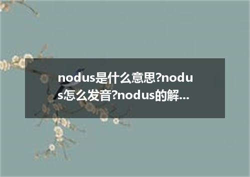 nodus是什么意思?nodus怎么发音?nodus的解释和用法